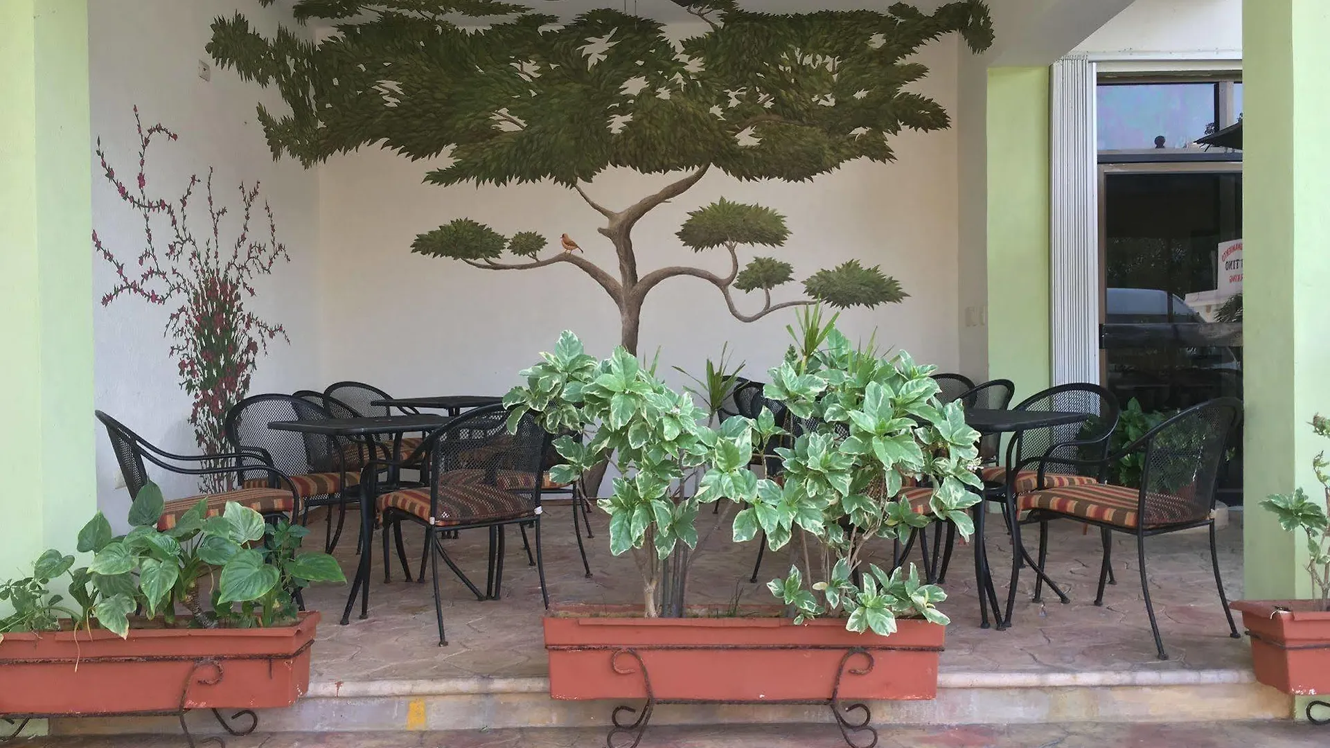 Hotel Plaza Cozumel